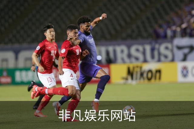 非凡娱乐网站 公司简介